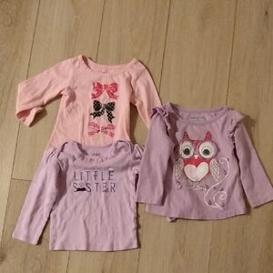 Girls' Pink and Purple Long Sleeve Tops Set